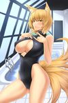  :3 animal_ears black_swimsuit blonde_hair breasts cameltoe cleavage fang fang_out fox_ears fox_tail front_zipper_swimsuit highleg highleg_swimsuit highres large_breasts looking_at_viewer meme_attire multiple_tails one-piece_swimsuit pool pool_ladder rei_no_pool shuugetsu_karasu solo swimsuit tail touhou unzipped yakumo_ran yellow_eyes zipper 