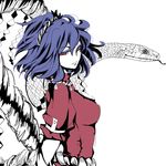  blue_hair lowres nemosu ponytail red_eyes rope snake touhou yasaka_kanako 