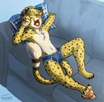  anthro bulge cheetah clothing feline haychel male mammal salmy sofa solo underwear 
