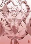  abs biceps feline male mammal muscles nipples pecs soddy tiger 