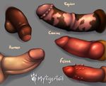  anatomically_correct animal_genitalia balls canine disembodied_penis english_text equine erection feline horsecock human knot male mammal mytigertail penis text uncut 