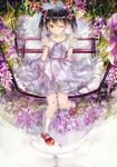  black_hair bracelet dress flower from_above hair_ribbon jewelry love_live! love_live!_school_idol_project one_eye_closed outdoors petals red_eyes red_footwear ribbon shoes sitting smile socks solo twintails vima water wisteria yazawa_nico 