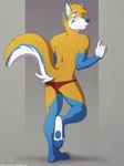  blue_fur brief butt canine clothing fox foxen fur lunalei mammal underwear 