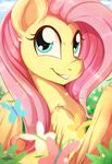  2015 equine female feral fluttershy_(mlp) friendship_is_magic mammal my_little_pony pegasus rainbowscreen smile wings 