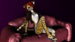  2014 3d anthro blue_background breasts butt cgi cheetah chelsie_(kawa) clothed clothing feline female gradient_background jacket kawaoneechan looking_at_viewer mammal plain_background pose shoes shorts skimpy sofa solo 