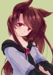  animal_ears brown_hair dress green_background imaizumi_kagerou iris_anemone jewelry long_hair long_sleeves looking_at_viewer red_eyes simple_background solo touhou upper_body wolf_ears 