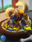  all_fours arcanine bed blush cum doggystyle from_behind haychel leash nintendo penis pok&eacute;mon raichu sex video_games 