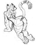  2015 all_fours butt feline female guoh kung_fu_panda looking_back mammal master_tigress monochrome sketch solo suggestive tiger 