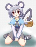  animal_ears basket grey_hair highres hiiragi_mitsuna jewelry mouse mouse_ears mouse_tail nazrin pendant red_eyes short_hair solo tail touhou 