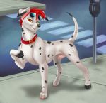  animal_genitalia canine cobalt_(cobaltdawg) dalmatian dog feral fully_sheathed male mammal sheath solo 