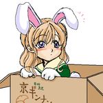  animal_ears box bunny_ears in_box in_container lowres maria-sama_ga_miteru paws solo toudou_shimako 