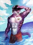  abs anthro biceps clothing feline fur littlefreckles male mammal muscles nipples pecs purple_fur sea swimsuit tattoo tiger water 