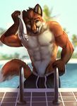  abs anthro biceps canine chipfox clothing fox littlefreckles male mammal muscles nipples pecs pool swimsuit 