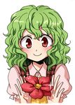  ascot blush checkered checkered_vest flower green_hair kazami_yuuka mokku red_eyes smile solo sparkle touhou vest wavy_hair white_background 