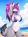  2015 anthro beach big_breasts bikini black_nose blue_eyes blush breasts canine choker cleavage clothed clothing detailed_background female fox fur grey_fur hair hi_res long_hair mammal mleonheart navel outside portrait purple_hair sand sea seaside sky smile solo swimsuit syrth water 