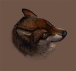  canine crying invalid_tag latex_(artist) mammal realistic tears wolf 