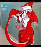  balls big_balls erection fur huge_penis locker_room male nude penis red_fur sergal solo uncut unregisteredcat vein veiny_penis 