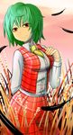  arm_behind_back ascot bad_id bad_pixiv_id banned_artist breasts collared_shirt colored_eyelashes cowboy_shot feathers field green_hair hand_on_own_chest highres kazami_yuuka long_sleeves medium_breasts okahi plaid plaid_skirt plaid_vest red_eyes shirt short_hair skirt smile solo sunset teeth touhou vest wheat_field 