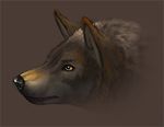  canine invalid_tag latex_(artist) mammal wolf 