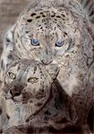  highres leopard looking_at_viewer marker_(medium) no_humans original potto spot_color traditional_media 