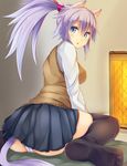  :o animal_ears ass black_legwear blue_eyes blush breasts cat_ears cat_tail highres irohasu long_hair long_sleeves medium_breasts original panties pantyshot pantyshot_(sitting) pleated_skirt ponytail purple_hair school_uniform sitting skirt solo tail thighhighs underwear wariza 