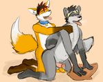  anal canine collar fox hipstar male male/male mammal nanabi_ashiro pazcal penis precum raccoon 