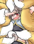  absurdres animal_ears blush capelet dress fox_tail grey_dress grey_hair highres midriff mouse_ears mouse_tail multiple_girls multiple_tails mumumu nazrin open_mouth red_eyes tail tail_grab tail_wrap tears touhou yakumo_ran 