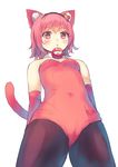  alternate_costume animal_ears bare_shoulders black_legwear cat_ears cat_tail culter elbow_gloves from_below gloves kemonomimi_mode kittysuit komeiji_satori leotard looking_at_viewer pantyhose pink_eyes pink_hair red_gloves red_leotard solo tail third_eye touhou 