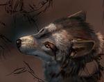  ambiguous_gender brown_fur canine crying feral fur latex_(artist) looking_at_viewer mammal plain_background portrait realistic snout solo tears wolf 