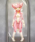  2015 anthro bdsm bodysuit bondage bound breasts cat clothing collar dickgirl feline fursuit gender_transformation intersex looking_at_viewer mammal paws penis pink_body rubber skinsuit solo tetetor-oort the_pink_suit_tf transformation vpl yellow_eyes 
