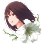  brown_eyes brown_hair flower flowers_(innocent_grey) hair_ornament hairclip highres innocent_grey kousaka_mayuri lily_(flower) nanaku_teiru open_mouth short_hair solo white_background 