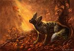  autumn brown_eyes canine feral flash_lioness fox fur grey_fur leaves mammal solo tree 