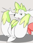  animated anus female grey_background half-closed_eyes lying masturbation nintendo on_back open_mouth pcred566 plain_background pok&eacute;mon pussy rubbing shaymin solo spread_legs spreading tongue tongue_out video_games 