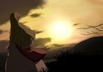  anime_coloring blonde_hair cloud dress from_behind grass hair_over_eyes jurakin long_hair long_sleeves mountain nature no_hat no_headwear outdoors peaceful perspective scenery silhouette smile solo standing sun sunset tabard touhou tree very_long_hair white_dress wide_sleeves wind yakumo_yukari yellow_sky 