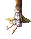  ano_hi_mita_hana_no_namae_wo_bokutachi_wa_mada_shiranai. bad_id bad_pixiv_id bare_arms barefoot closed_eyes dress full_body highres honma_meiko kotou_(ko-tou) long_hair ribbon shadow simple_background sitting sleeping sleeping_upright sleeveless sleeveless_dress solo tree under_tree white_background white_hair 