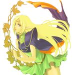  blonde_hair blue_eyes deedlit elf koma_kiri_aoko leaf long_hair pointy_ears record_of_lodoss_war solo 