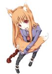  animal_ears brown_hair fang holo long_hair natsuki_yuu_(minamino_tsuki) red_eyes solo spice_and_wolf tail wolf_ears wolf_tail 