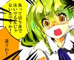  brown_eyes cis_(carcharias) collarbone emphasis_lines green_hair kochiya_sanae long_hair looking_at_viewer shaded_face solo surprised touhou translated upper_body wide-eyed 