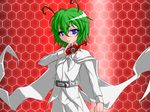  antennae belt blue_eyes cape green_hair henshin henshin_pose kabuto_zecter kamen_rider kamen_rider_kabuto_(series) pants parody pose shirt solo touhou tsukushi_(741789) white_pants white_shirt wriggle_nightbug 