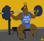  anthro anthrofied bulge clothing dangerdoberman male muscles scooby-doo scooby-doo_(series) shirt shorts solo tank_top weights workout 