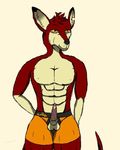  anthro balls boxers clothing djpandako erection kangaroo kingkangaroo male mammal marsupial muscles penis spandex standing thigh_up underwear 