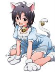  animal_ears black_hair brown_eyes cat_ears cat_tail gloves idolmaster idolmaster_(classic) idolmaster_million_live! kikuchi_makoto paw_gloves paws shift_(waage) short_hair solo tail 