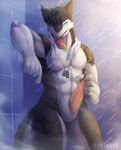  discordnight male muscles nurinaki penis sergal shower 