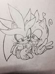  amy_rose breasts sega silver_the_hedgehog sonic_(series) 