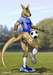  ale clothing jockstrap kangaroo mammal marsupial partially_clothed soccer underwear wookiee(artist) 
