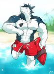  abs anthro beach biceps black_fur black_hair blue_eyes discordnight fur hair maldu male muscles necklace seaside sergal 