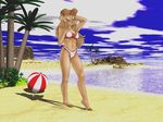  beach beach_ball bear bikini breasts clothing disney mammal milf mother navel palm_tree parent rebecca_cunningham sea seaside swimsuit talespin tree unknown_artist water 
