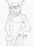  2015 anthro balls boxers clothing erection eyewear feline fur glasses lynx mammal penis sketch solo spots tongue tongue_out uncut underwear yaroul 