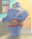  bear blush butt chubby clothing cute galeon invalid_tag male mammal rusbane solo underwear 