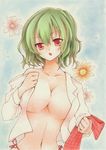  bad_id bad_pixiv_id blue_background breasts collarbone collared_shirt flower green_hair head_tilt kazami_yuuka kisuke_(kisuke455) large_breasts looking_at_viewer marker_(medium) narrow_waist navel no_bra no_pants open_mouth plaid plaid_vest red_eyes shirt shirt_removed short_hair solo string_panties touhou traditional_media undressing vest wavy_hair 